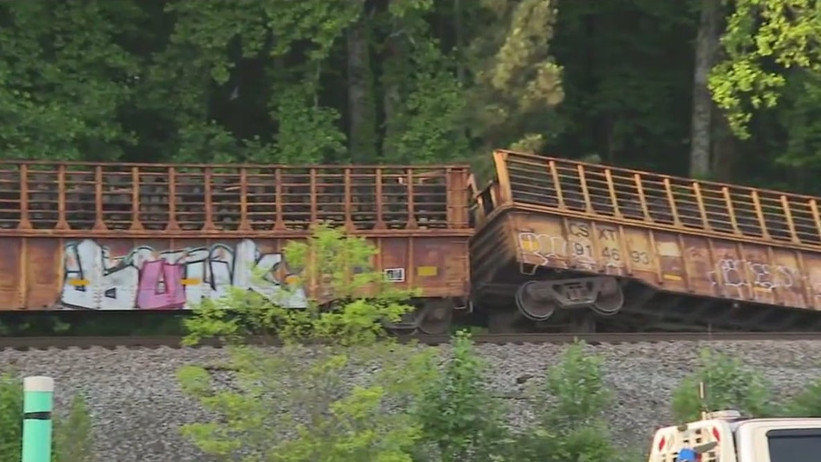Train derailment in Smyrna neighborhood